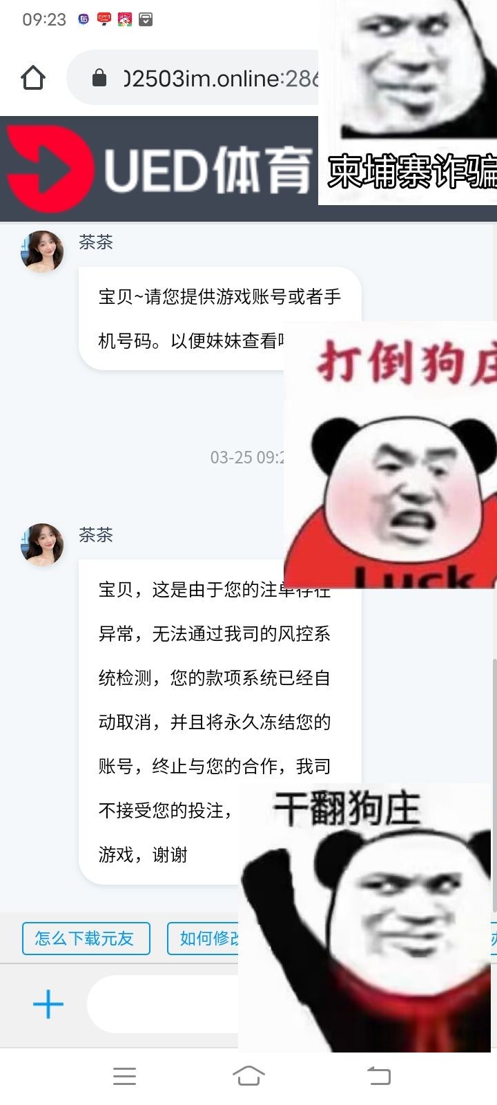 11187_ZFYZATWMNY7YHUU.jpg